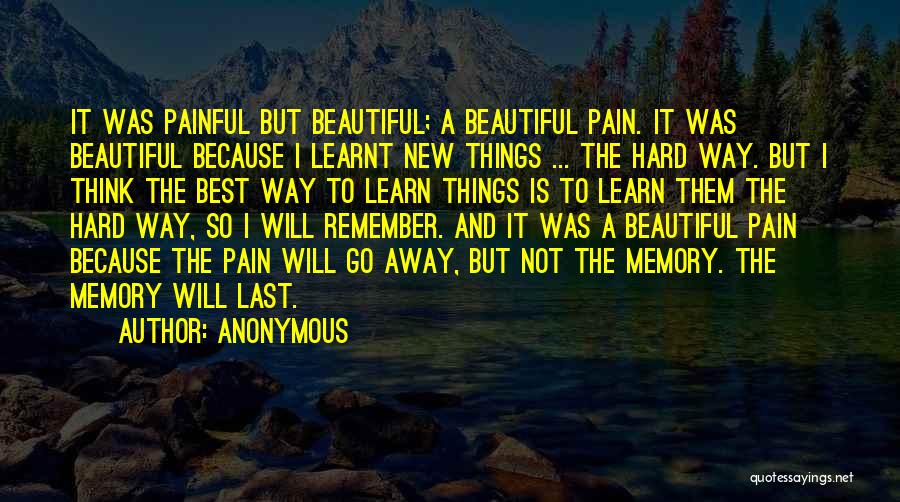 Anonymous Quotes: It Was Painful But Beautiful; A Beautiful Pain. It Was Beautiful Because I Learnt New Things ... The Hard Way.