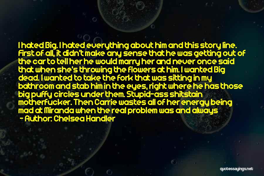 Chelsea Handler Quotes: I Hated Big. I Hated Everything About Him And This Story Line. First Of All, It Didn't Make Any Sense