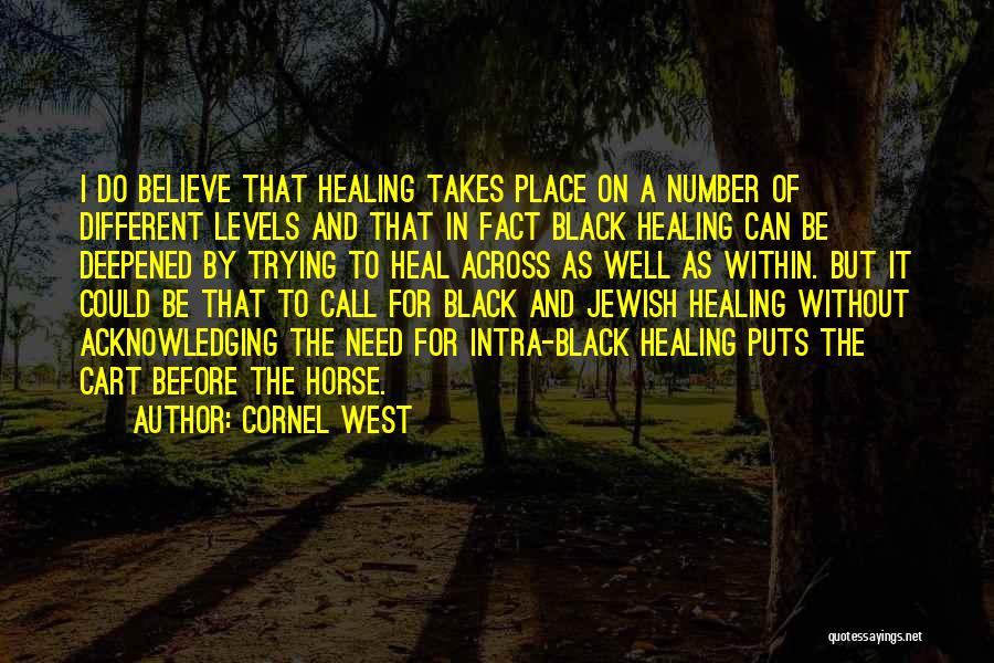 Cornel West Quotes: I Do Believe That Healing Takes Place On A Number Of Different Levels And That In Fact Black Healing Can