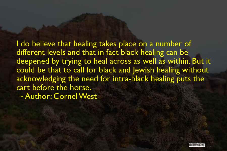 Cornel West Quotes: I Do Believe That Healing Takes Place On A Number Of Different Levels And That In Fact Black Healing Can