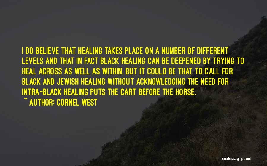 Cornel West Quotes: I Do Believe That Healing Takes Place On A Number Of Different Levels And That In Fact Black Healing Can