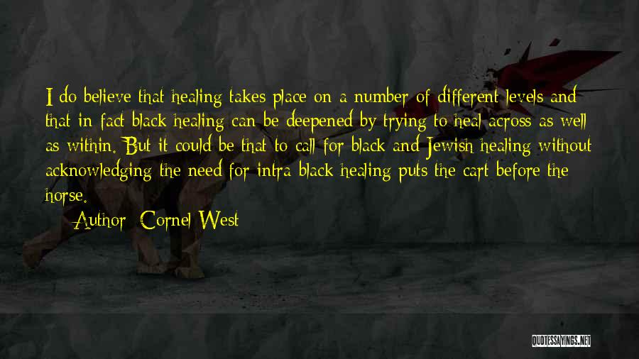 Cornel West Quotes: I Do Believe That Healing Takes Place On A Number Of Different Levels And That In Fact Black Healing Can