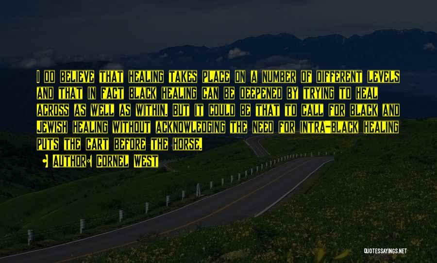 Cornel West Quotes: I Do Believe That Healing Takes Place On A Number Of Different Levels And That In Fact Black Healing Can