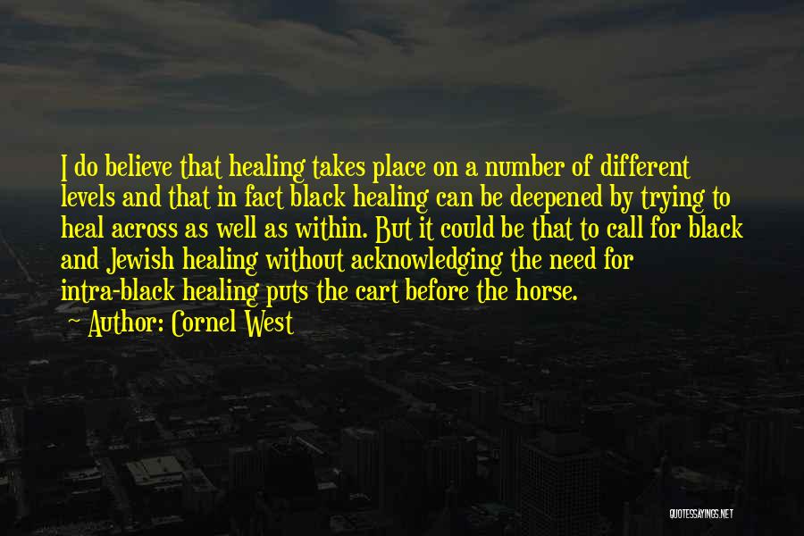 Cornel West Quotes: I Do Believe That Healing Takes Place On A Number Of Different Levels And That In Fact Black Healing Can