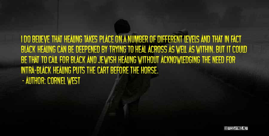 Cornel West Quotes: I Do Believe That Healing Takes Place On A Number Of Different Levels And That In Fact Black Healing Can