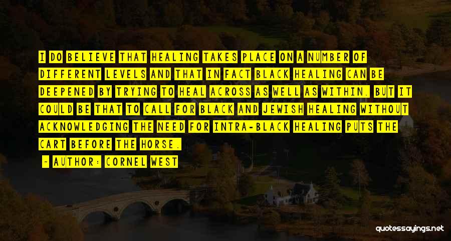 Cornel West Quotes: I Do Believe That Healing Takes Place On A Number Of Different Levels And That In Fact Black Healing Can