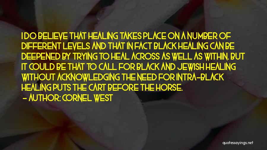 Cornel West Quotes: I Do Believe That Healing Takes Place On A Number Of Different Levels And That In Fact Black Healing Can