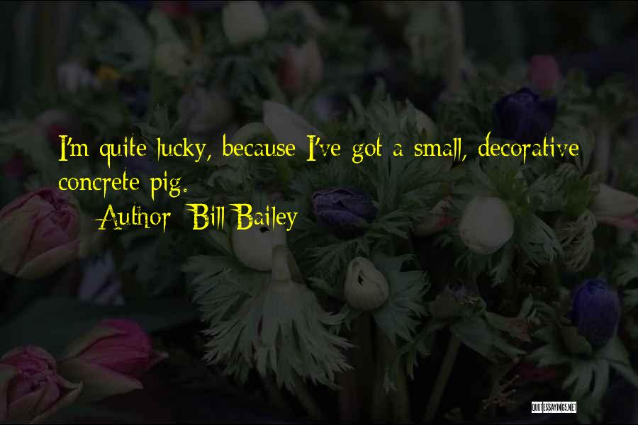 Bill Bailey Quotes: I'm Quite Lucky, Because I've Got A Small, Decorative Concrete Pig.