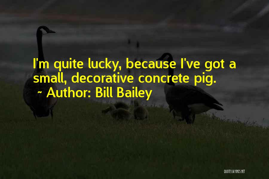 Bill Bailey Quotes: I'm Quite Lucky, Because I've Got A Small, Decorative Concrete Pig.