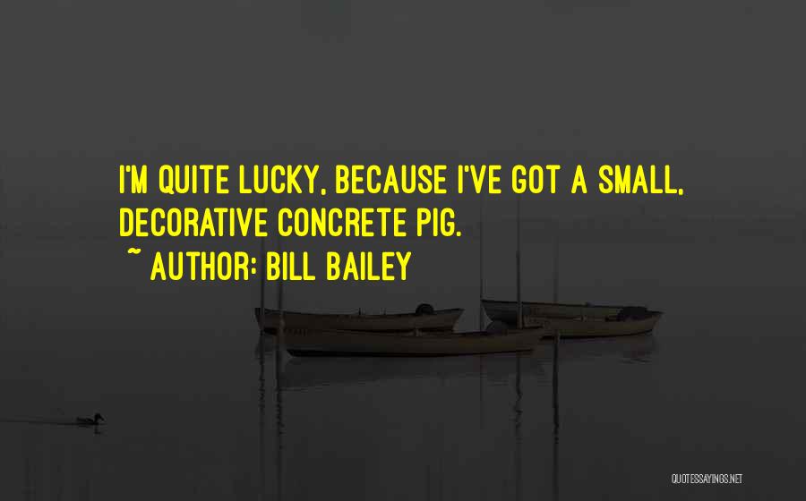 Bill Bailey Quotes: I'm Quite Lucky, Because I've Got A Small, Decorative Concrete Pig.