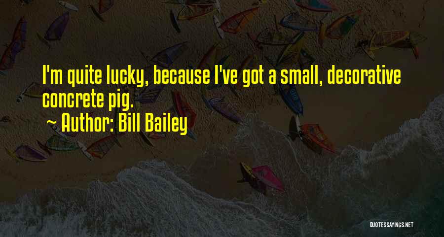 Bill Bailey Quotes: I'm Quite Lucky, Because I've Got A Small, Decorative Concrete Pig.