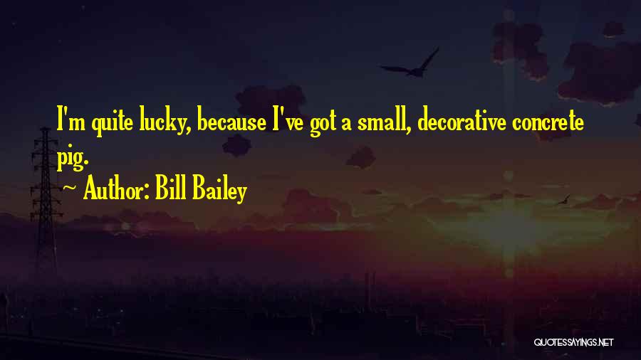 Bill Bailey Quotes: I'm Quite Lucky, Because I've Got A Small, Decorative Concrete Pig.