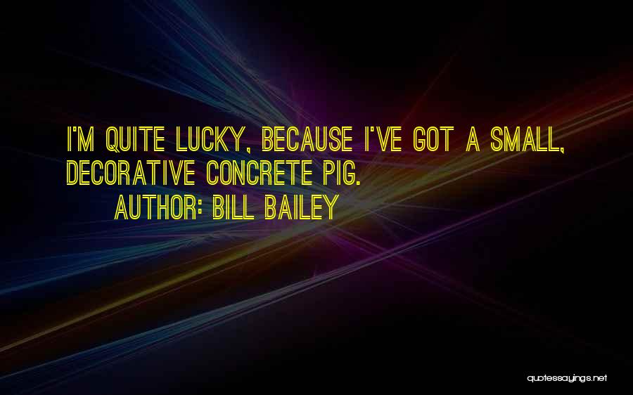Bill Bailey Quotes: I'm Quite Lucky, Because I've Got A Small, Decorative Concrete Pig.