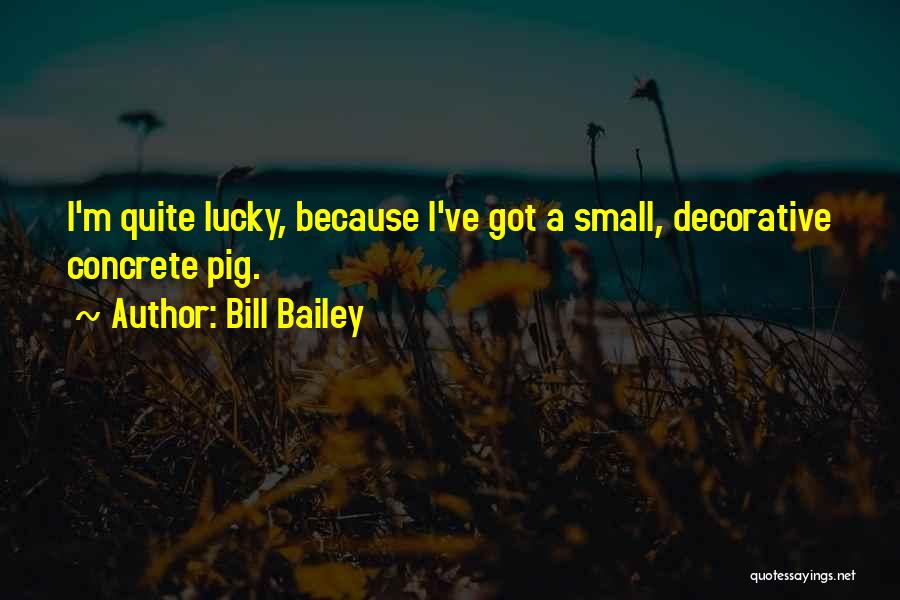Bill Bailey Quotes: I'm Quite Lucky, Because I've Got A Small, Decorative Concrete Pig.