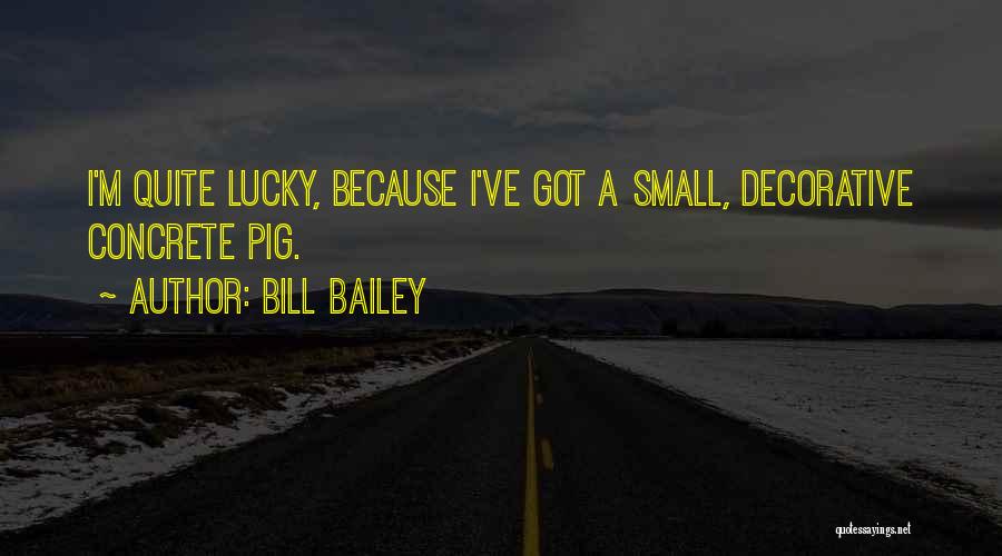 Bill Bailey Quotes: I'm Quite Lucky, Because I've Got A Small, Decorative Concrete Pig.