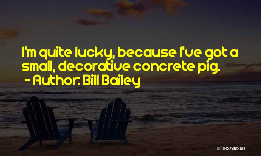 Bill Bailey Quotes: I'm Quite Lucky, Because I've Got A Small, Decorative Concrete Pig.