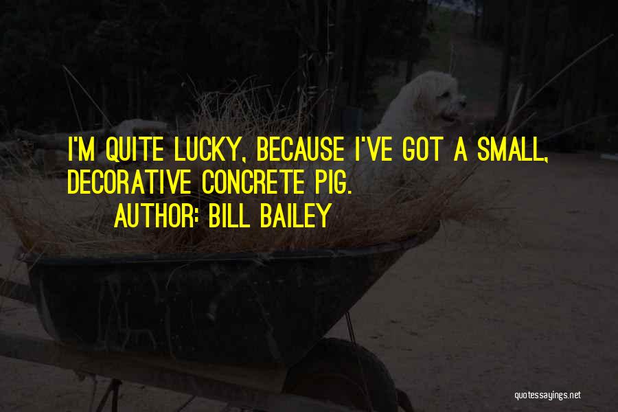Bill Bailey Quotes: I'm Quite Lucky, Because I've Got A Small, Decorative Concrete Pig.