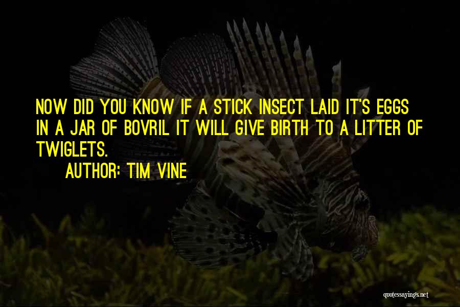 Tim Vine Quotes: Now Did You Know If A Stick Insect Laid It's Eggs In A Jar Of Bovril It Will Give Birth