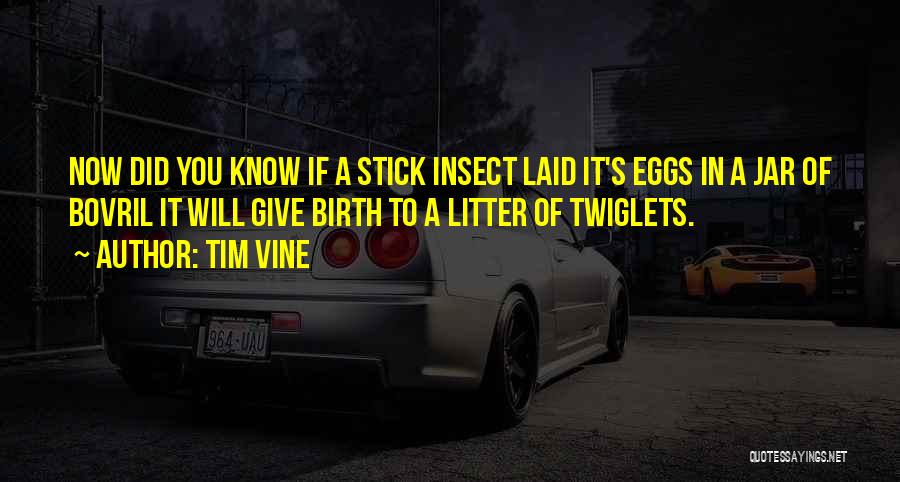 Tim Vine Quotes: Now Did You Know If A Stick Insect Laid It's Eggs In A Jar Of Bovril It Will Give Birth