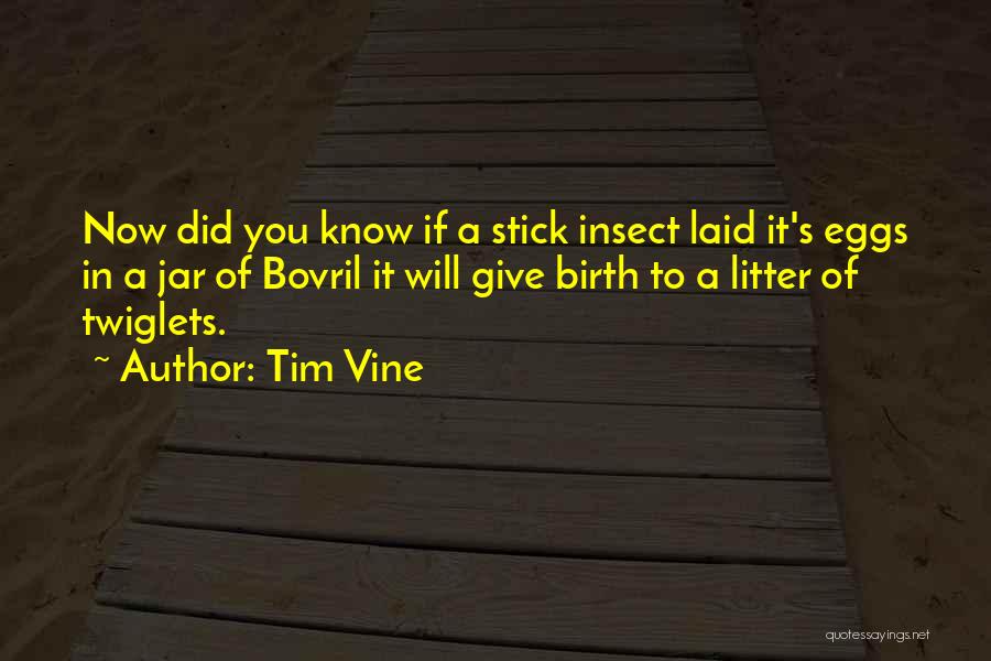 Tim Vine Quotes: Now Did You Know If A Stick Insect Laid It's Eggs In A Jar Of Bovril It Will Give Birth