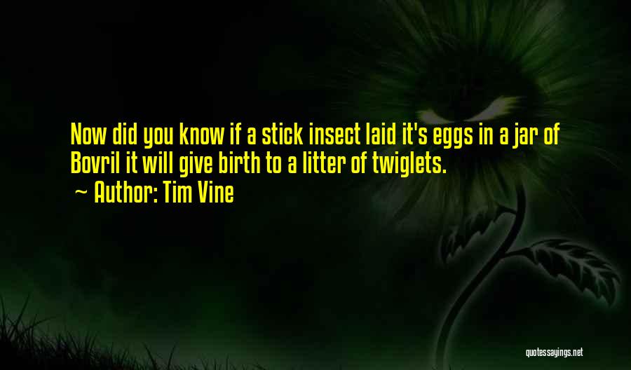 Tim Vine Quotes: Now Did You Know If A Stick Insect Laid It's Eggs In A Jar Of Bovril It Will Give Birth