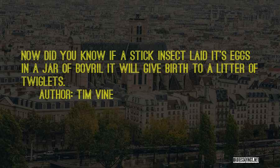 Tim Vine Quotes: Now Did You Know If A Stick Insect Laid It's Eggs In A Jar Of Bovril It Will Give Birth