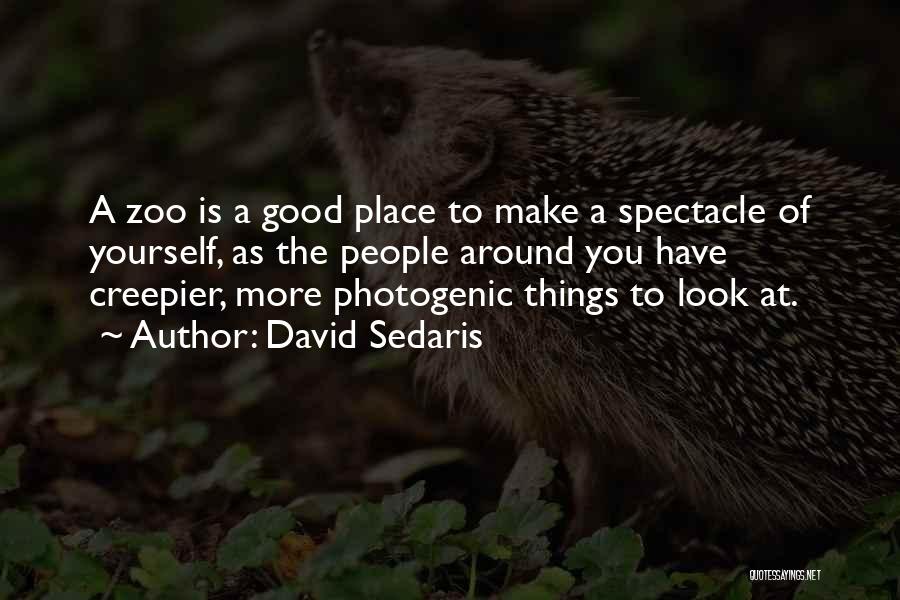 David Sedaris Quotes: A Zoo Is A Good Place To Make A Spectacle Of Yourself, As The People Around You Have Creepier, More