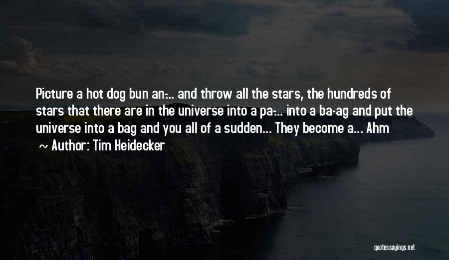 Tim Heidecker Quotes: Picture A Hot Dog Bun An-... And Throw All The Stars, The Hundreds Of Stars That There Are In The
