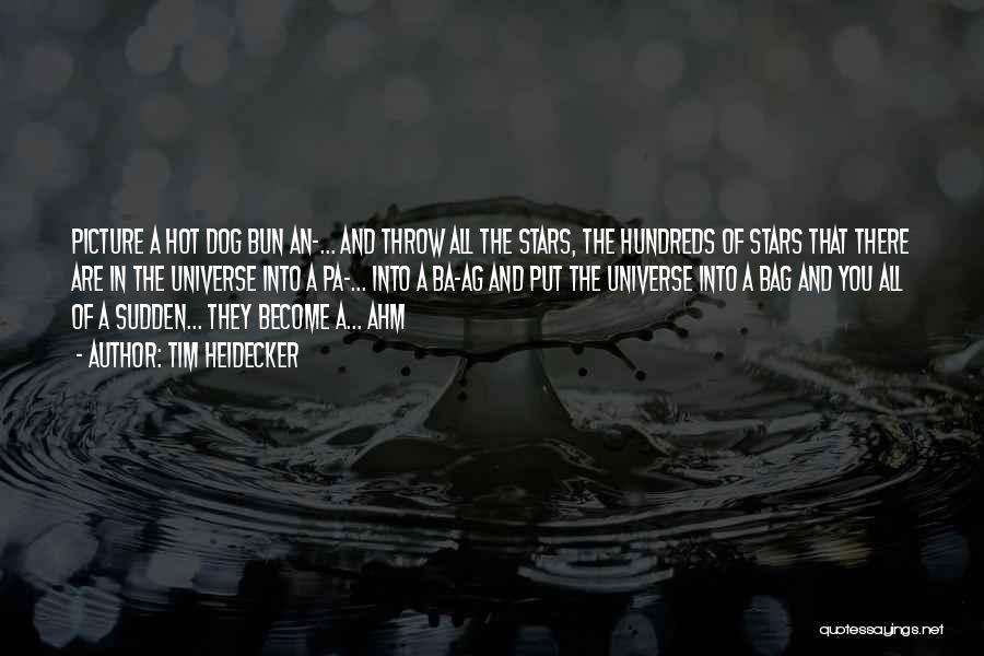 Tim Heidecker Quotes: Picture A Hot Dog Bun An-... And Throw All The Stars, The Hundreds Of Stars That There Are In The