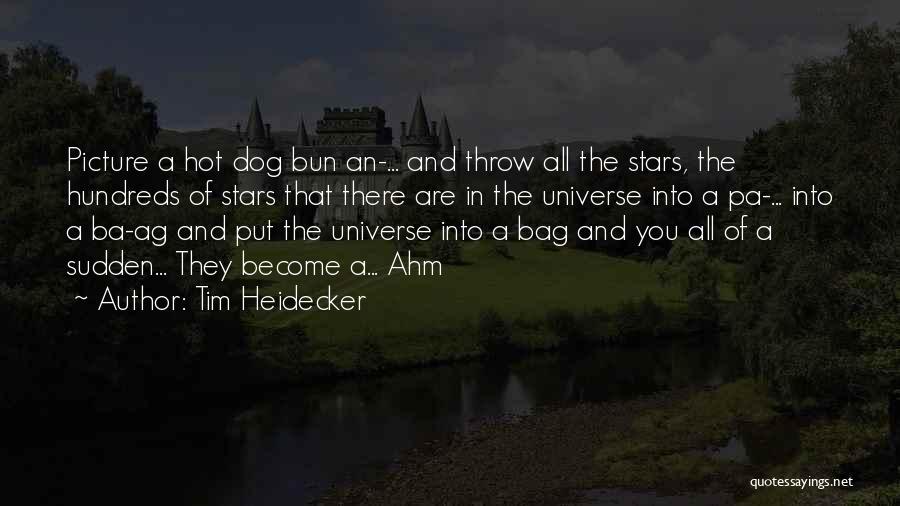 Tim Heidecker Quotes: Picture A Hot Dog Bun An-... And Throw All The Stars, The Hundreds Of Stars That There Are In The