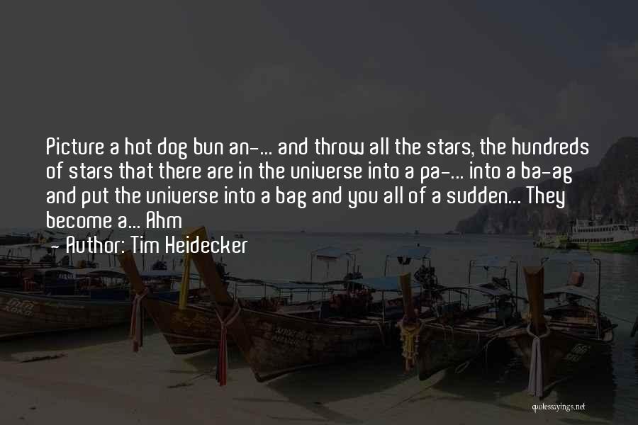 Tim Heidecker Quotes: Picture A Hot Dog Bun An-... And Throw All The Stars, The Hundreds Of Stars That There Are In The