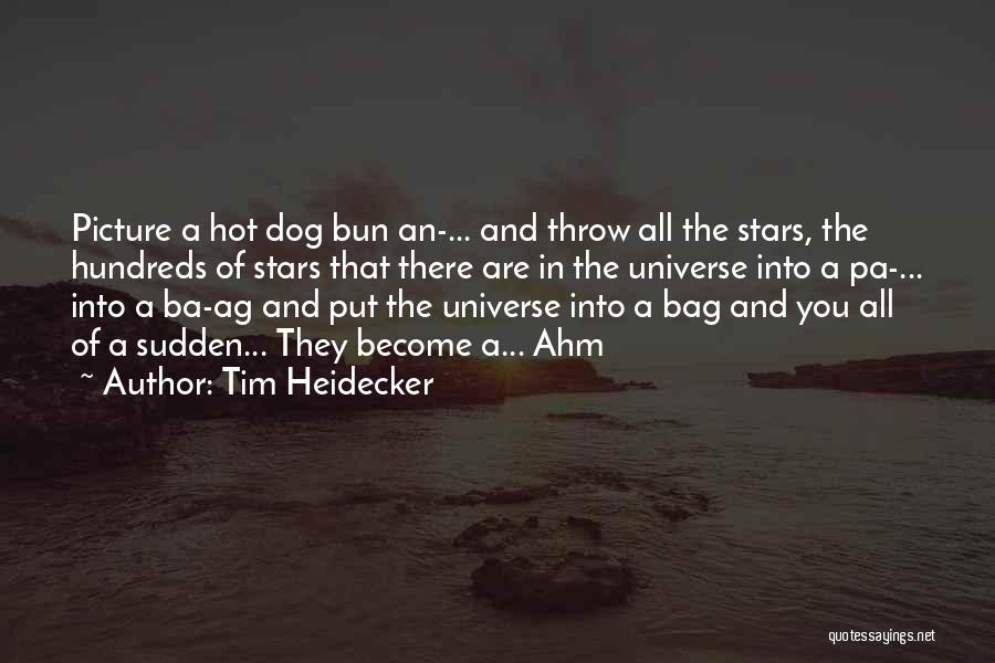 Tim Heidecker Quotes: Picture A Hot Dog Bun An-... And Throw All The Stars, The Hundreds Of Stars That There Are In The