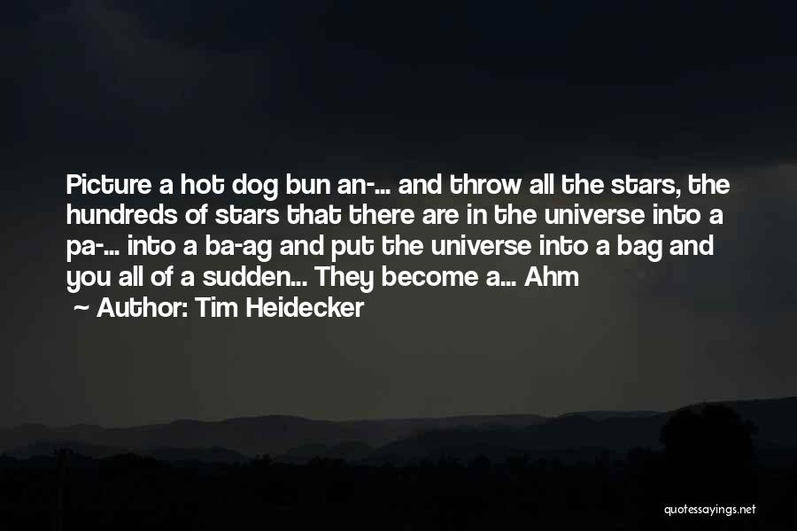 Tim Heidecker Quotes: Picture A Hot Dog Bun An-... And Throw All The Stars, The Hundreds Of Stars That There Are In The