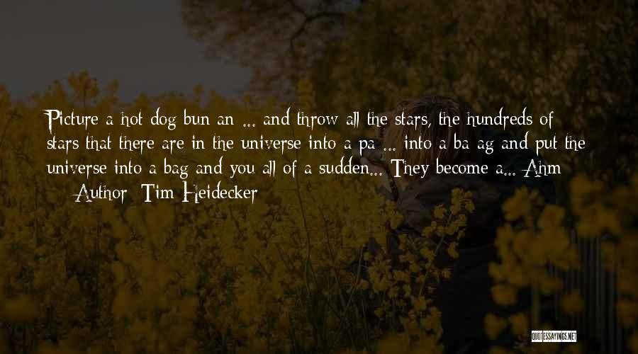 Tim Heidecker Quotes: Picture A Hot Dog Bun An-... And Throw All The Stars, The Hundreds Of Stars That There Are In The
