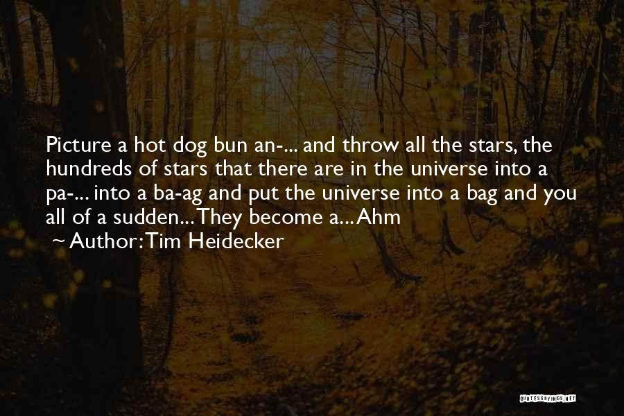 Tim Heidecker Quotes: Picture A Hot Dog Bun An-... And Throw All The Stars, The Hundreds Of Stars That There Are In The