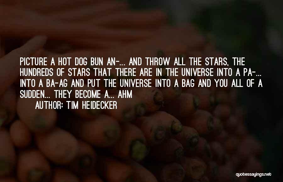 Tim Heidecker Quotes: Picture A Hot Dog Bun An-... And Throw All The Stars, The Hundreds Of Stars That There Are In The