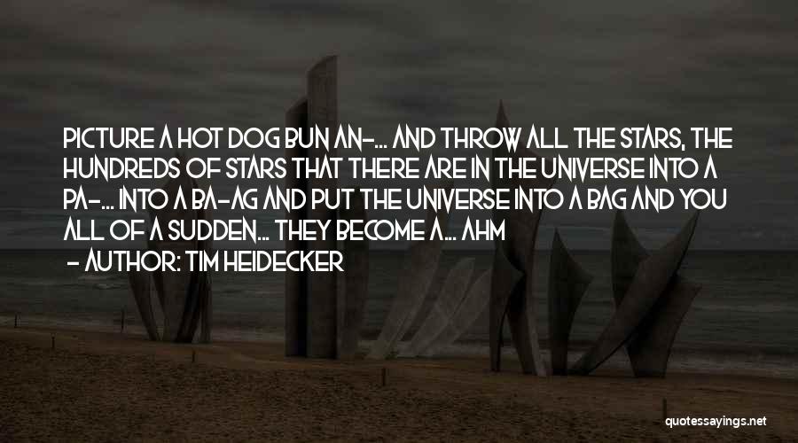 Tim Heidecker Quotes: Picture A Hot Dog Bun An-... And Throw All The Stars, The Hundreds Of Stars That There Are In The