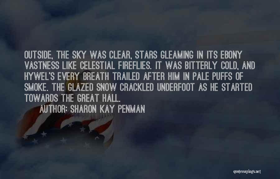 Sharon Kay Penman Quotes: Outside, The Sky Was Clear, Stars Gleaming In Its Ebony Vastness Like Celestial Fireflies. It Was Bitterly Cold, And Hywel's