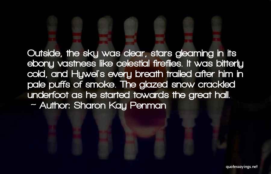 Sharon Kay Penman Quotes: Outside, The Sky Was Clear, Stars Gleaming In Its Ebony Vastness Like Celestial Fireflies. It Was Bitterly Cold, And Hywel's