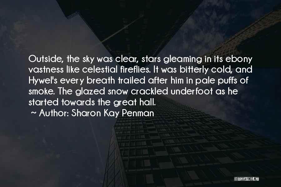 Sharon Kay Penman Quotes: Outside, The Sky Was Clear, Stars Gleaming In Its Ebony Vastness Like Celestial Fireflies. It Was Bitterly Cold, And Hywel's