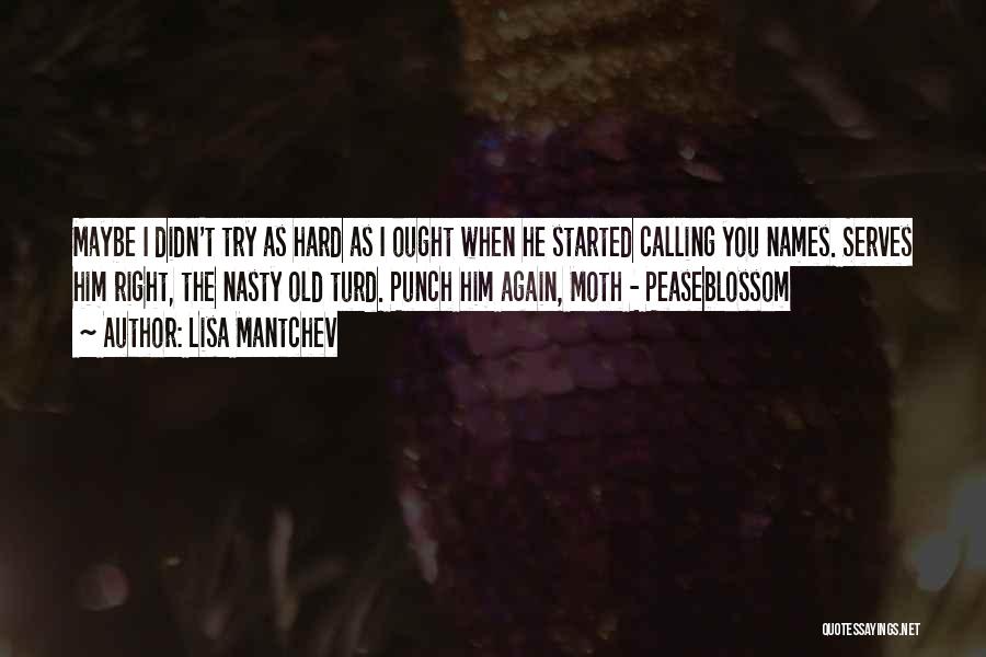 Lisa Mantchev Quotes: Maybe I Didn't Try As Hard As I Ought When He Started Calling You Names. Serves Him Right, The Nasty