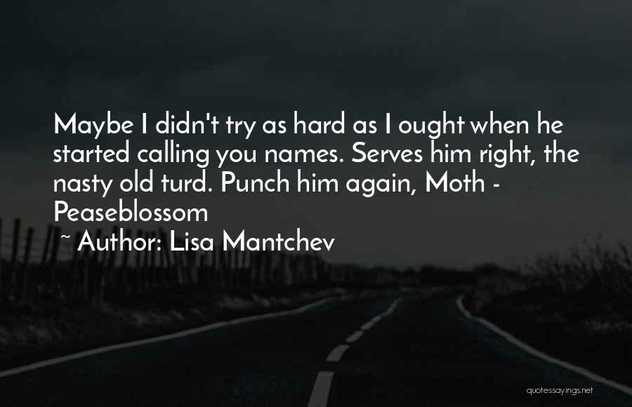 Lisa Mantchev Quotes: Maybe I Didn't Try As Hard As I Ought When He Started Calling You Names. Serves Him Right, The Nasty