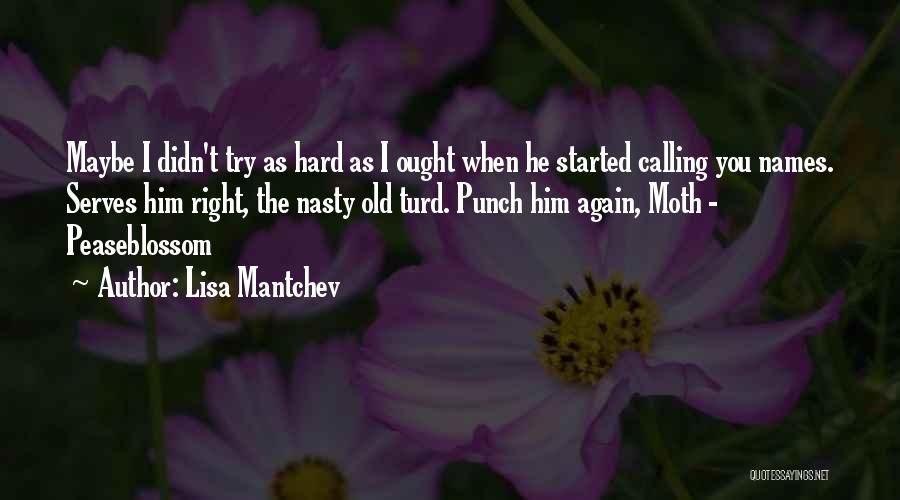 Lisa Mantchev Quotes: Maybe I Didn't Try As Hard As I Ought When He Started Calling You Names. Serves Him Right, The Nasty