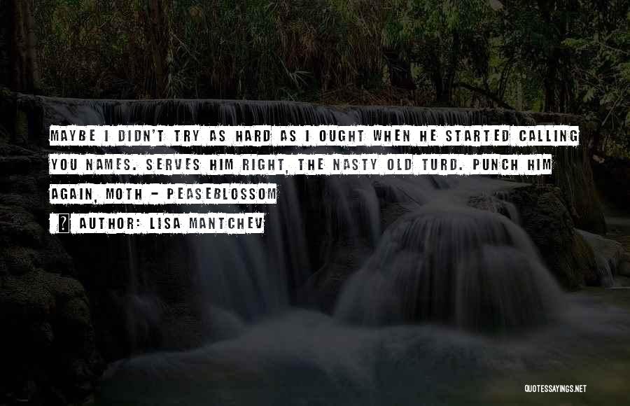 Lisa Mantchev Quotes: Maybe I Didn't Try As Hard As I Ought When He Started Calling You Names. Serves Him Right, The Nasty