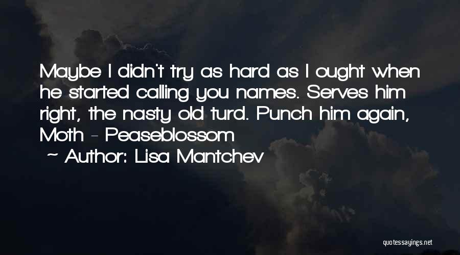 Lisa Mantchev Quotes: Maybe I Didn't Try As Hard As I Ought When He Started Calling You Names. Serves Him Right, The Nasty