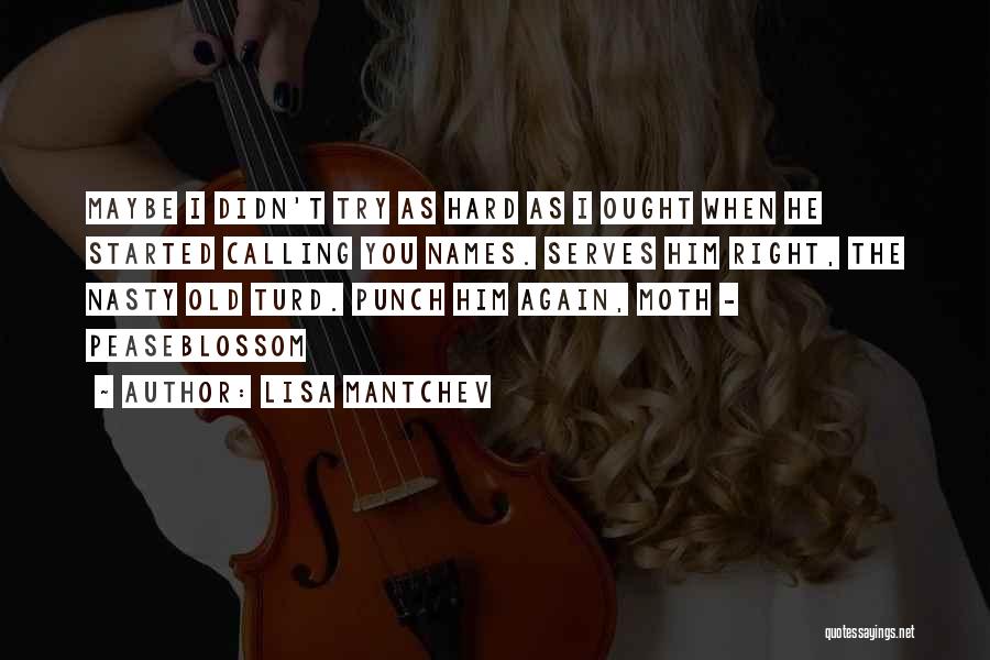 Lisa Mantchev Quotes: Maybe I Didn't Try As Hard As I Ought When He Started Calling You Names. Serves Him Right, The Nasty