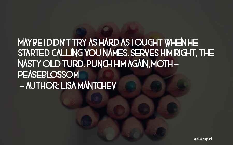 Lisa Mantchev Quotes: Maybe I Didn't Try As Hard As I Ought When He Started Calling You Names. Serves Him Right, The Nasty