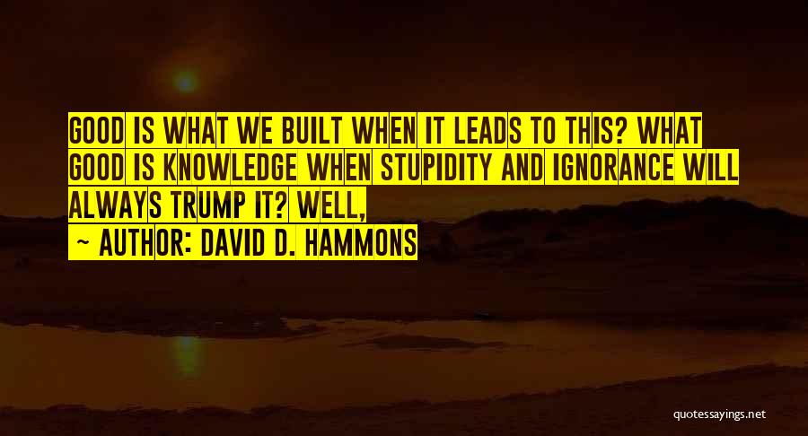 David D. Hammons Quotes: Good Is What We Built When It Leads To This? What Good Is Knowledge When Stupidity And Ignorance Will Always