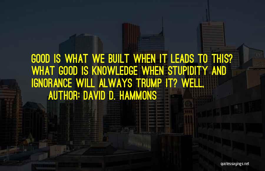 David D. Hammons Quotes: Good Is What We Built When It Leads To This? What Good Is Knowledge When Stupidity And Ignorance Will Always