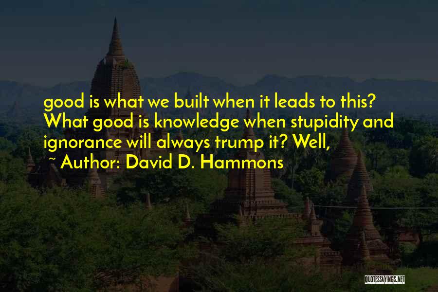 David D. Hammons Quotes: Good Is What We Built When It Leads To This? What Good Is Knowledge When Stupidity And Ignorance Will Always